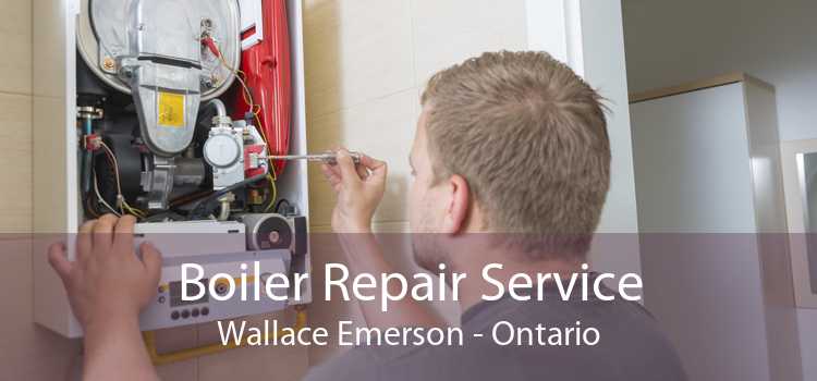 Boiler Repair Service Wallace Emerson - Ontario