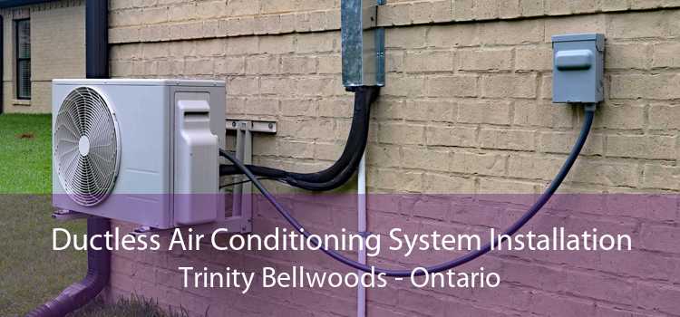 Ductless Air Conditioning System Installation Trinity Bellwoods - Ontario