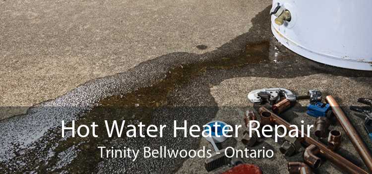 Hot Water Heater Repair Trinity Bellwoods - Ontario
