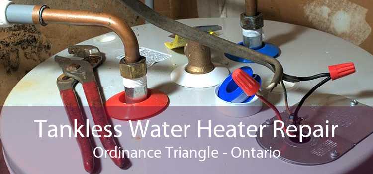 Tankless Water Heater Repair Ordinance Triangle - Ontario