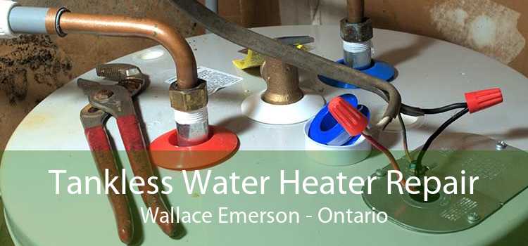 Tankless Water Heater Repair Wallace Emerson - Ontario